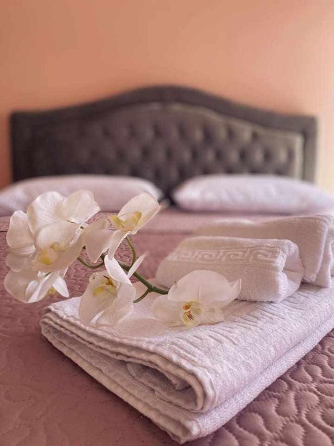 Nb B&B Apartments Nettuno Bagian luar foto